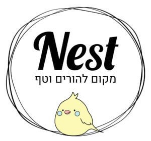תמונה של מערכת NestPlay