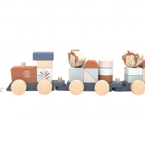  - רכבת השחלה מעץ